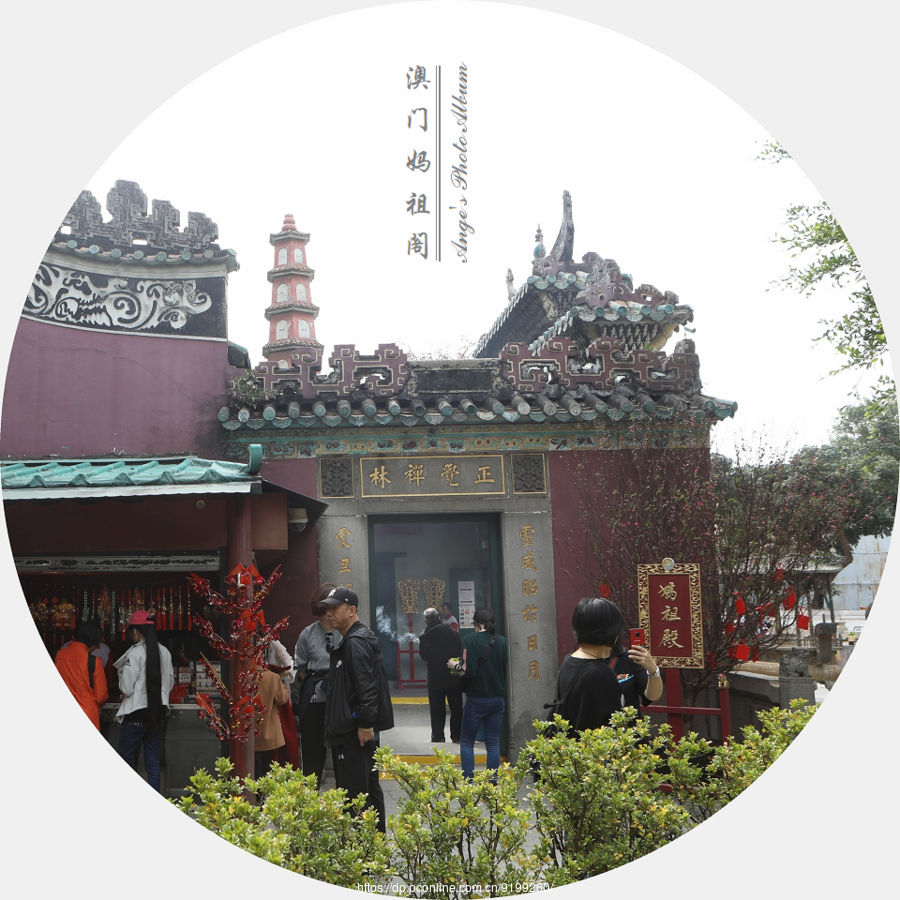 澳门妈祖阁开奖结果,高效计划实施_DIY工具版11.749