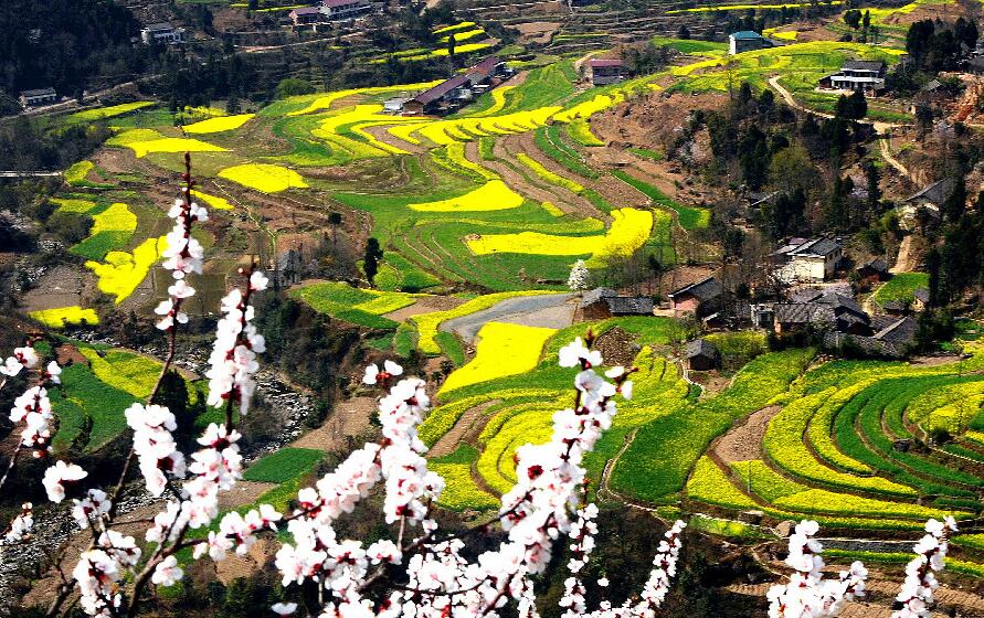 陕西宁强最新动态更新，最新消息汇总