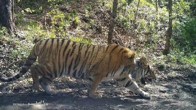 旋转接头 第456页