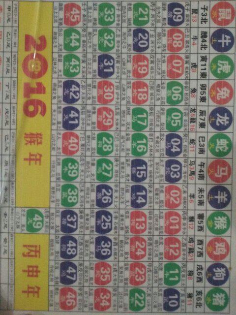 2024新版生肖恃码表49彩色澳门,什么为财务决策提供资料_驱动版57.696