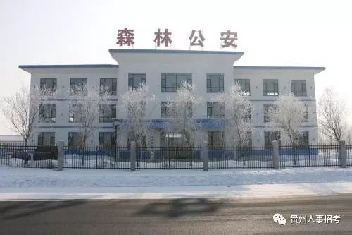 贵阳新天寨最新招聘，友情的温暖与工作奇遇的交汇点