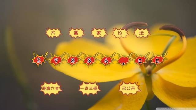 4949澳门今晚上开奖,创新解释说法_获取版40.356