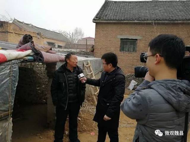 魏县王营村新鲜事，日常趣事与温情纽带最新消息报道