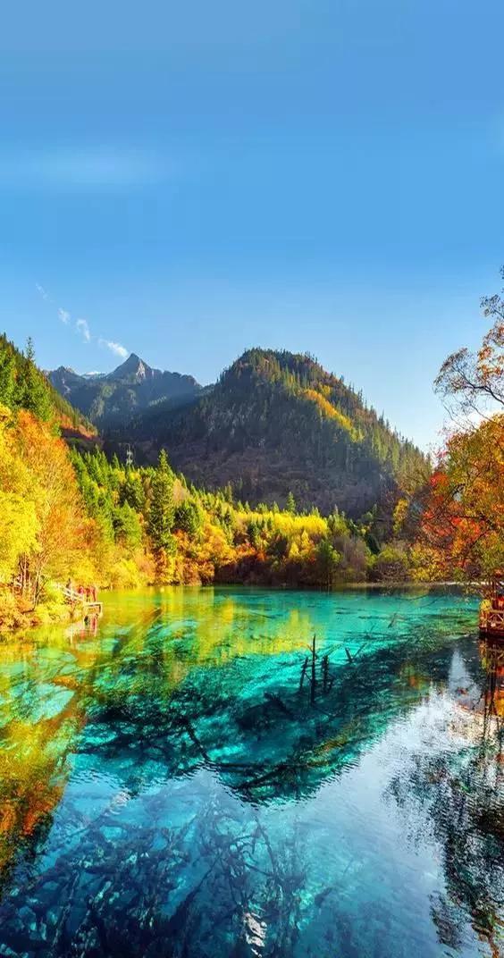 九寨沟地震最新实况更新,实时掌握灾区动态