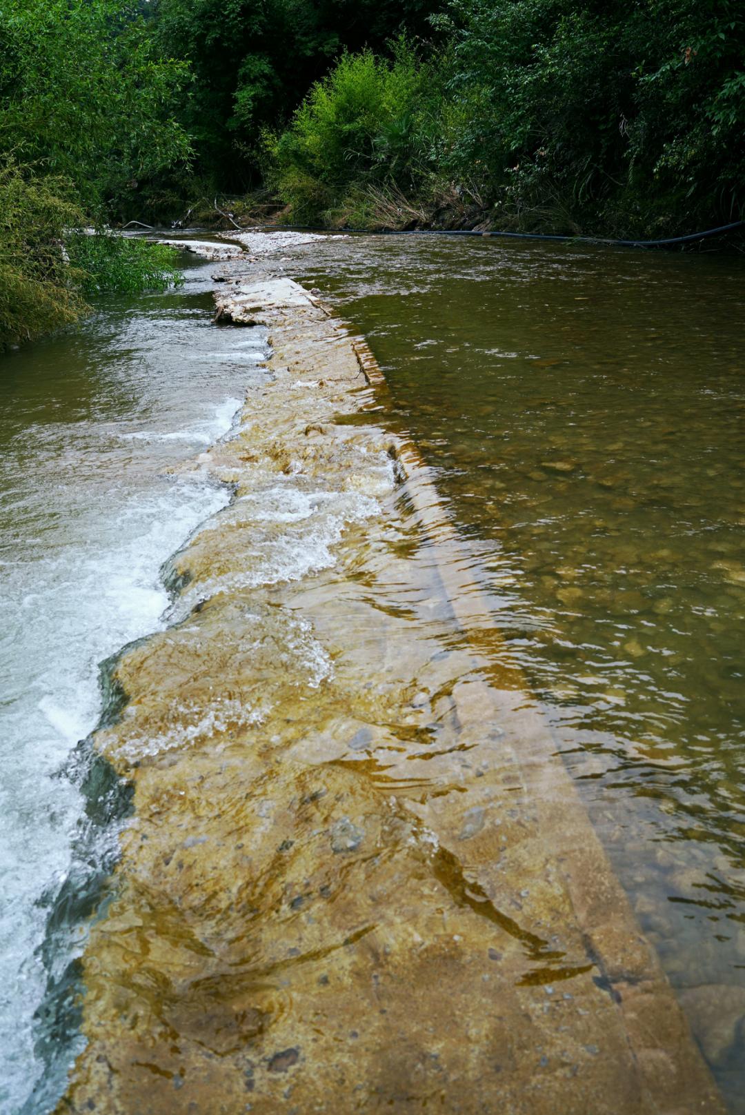 2024新澳天天免费资料,创新策略执行_旅行者特别版7.264