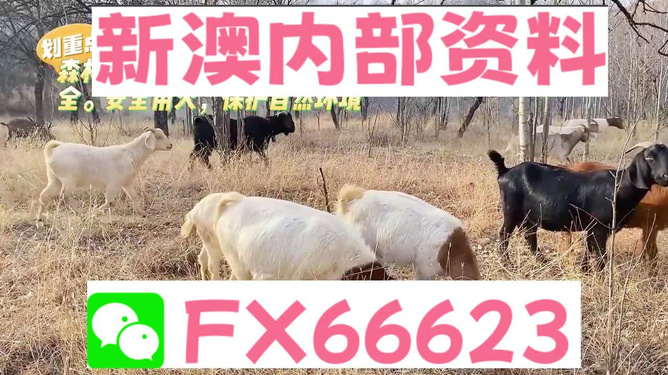新澳今天最新资料晚上四不象,可依赖操作方案_随行版10.277