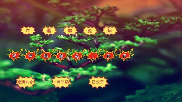 2024澳门跑狗图最新版今天104,安全性方案执行_梦想版53.214