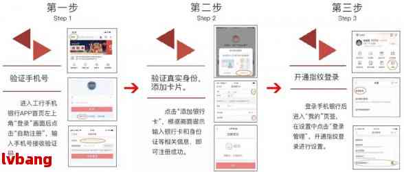 新澳门六开奖历史记录,快速解决方式指南_个性版92.420