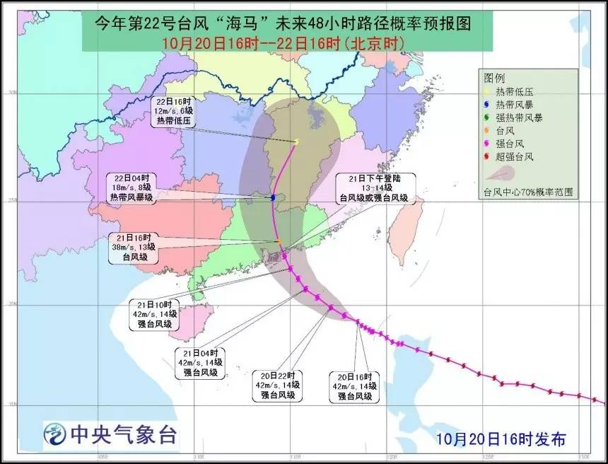 青岛台风最新消息2024,风雨小巷中的奇遇与美食瑰宝