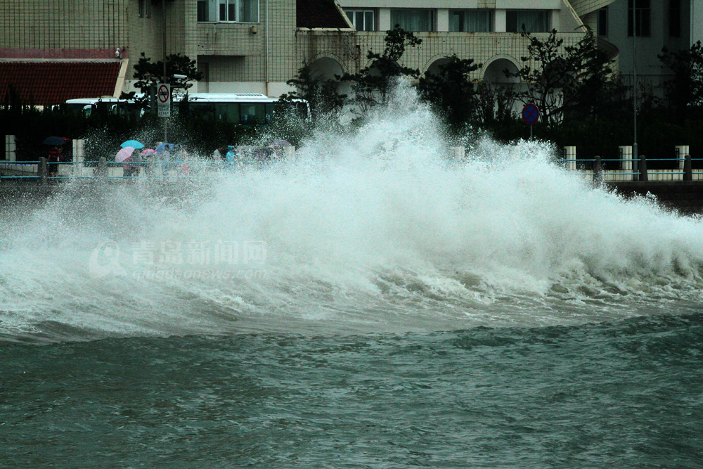 青岛台风最新消息2024,风雨小巷中的奇遇与美食瑰宝