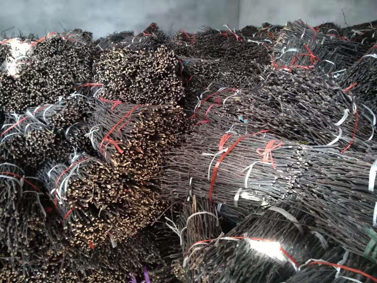 中药材蝉蜕最新价格信息更新