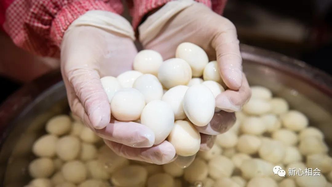 新会司前招聘信息更新,变化中的自信与成就感,我们在寻找你!