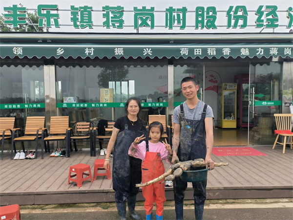 肥西丰乐最新动态更新