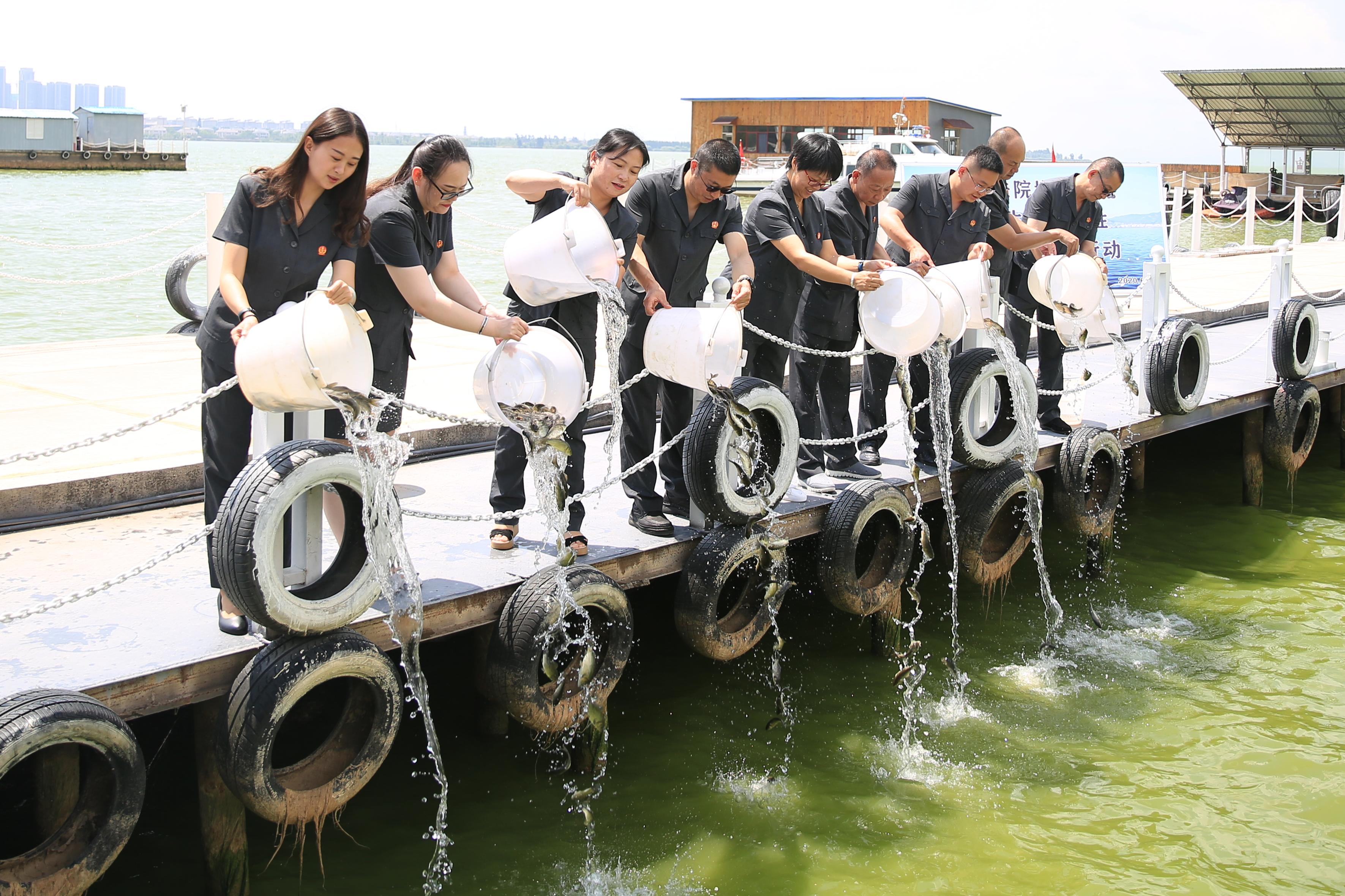 箱庭都市最新破解版讨论,涉及违法犯罪问题的探讨