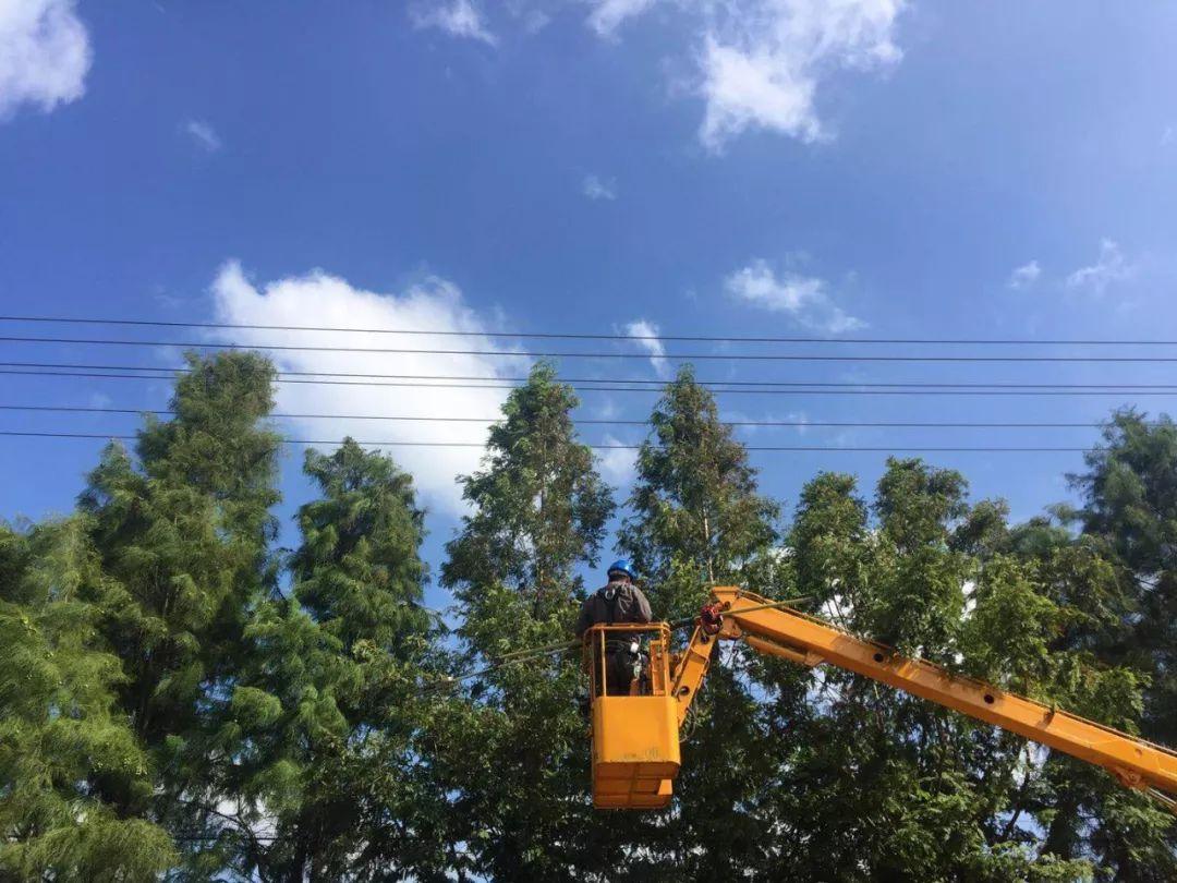 乐东台风风雨中的励志故事,自信与成长的交响曲最新消息