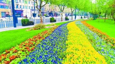 武汉长江主轴最新动态揭秘