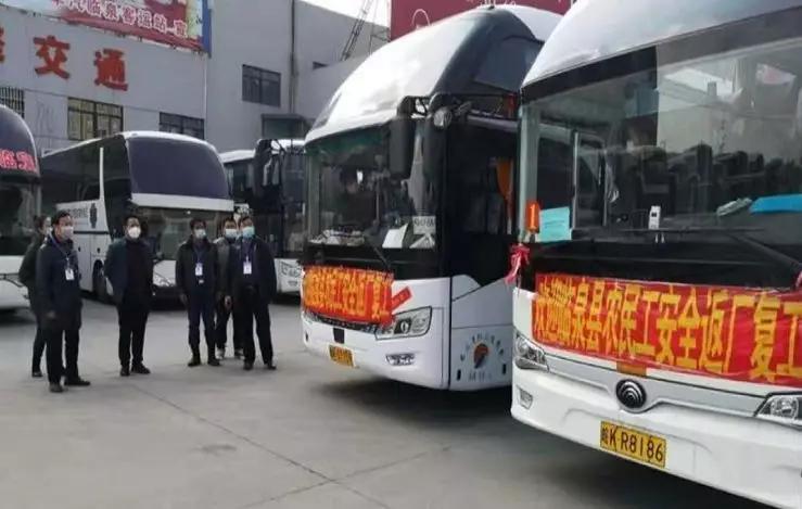 临泉最新疫情实时更新报告