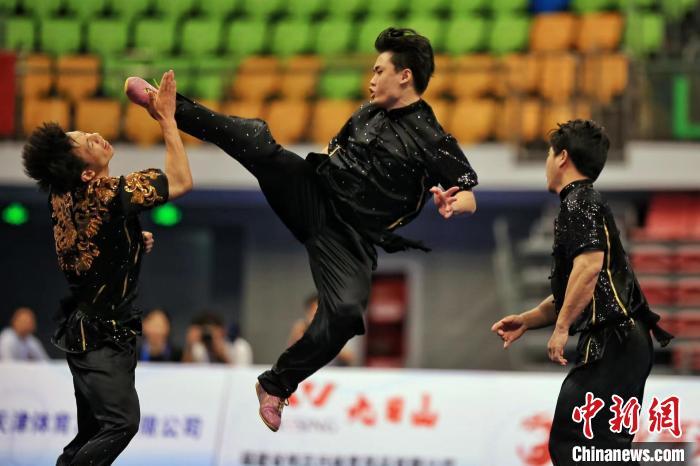 最新武术冠军传奇之路,武林地位的荣耀之路