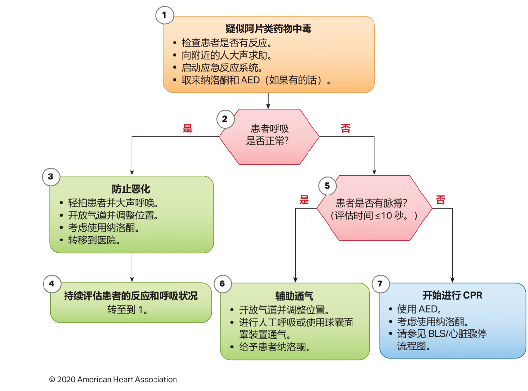 最新急救复苏技术,守护生命的关键时刻🚑