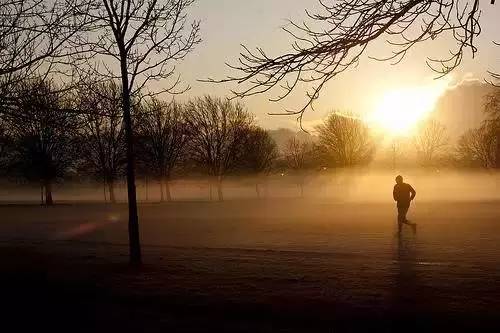 摄影最新热点,爱的镜头与温馨日常的记录