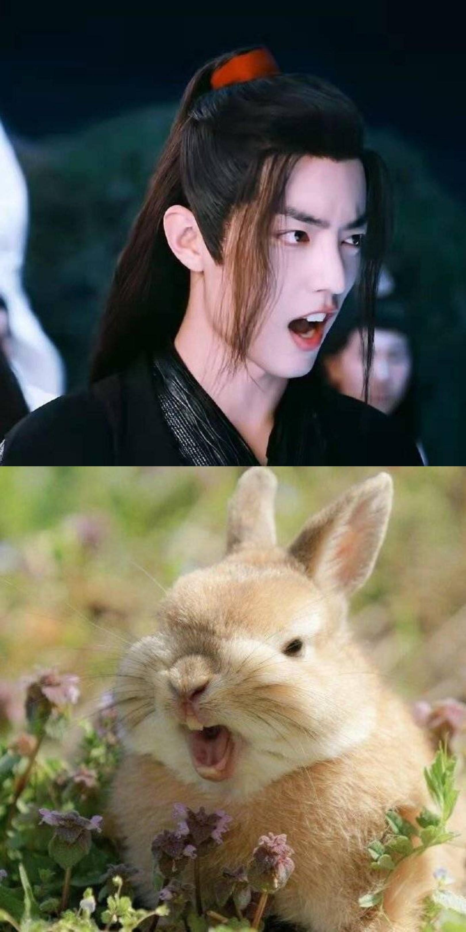 白小姐三期必开一肖,新技术推动方略_携带版61.886