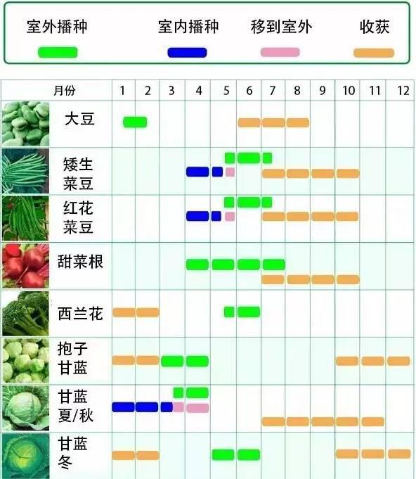 最新种种搜索,自然美景之旅,探寻内心平和之地
