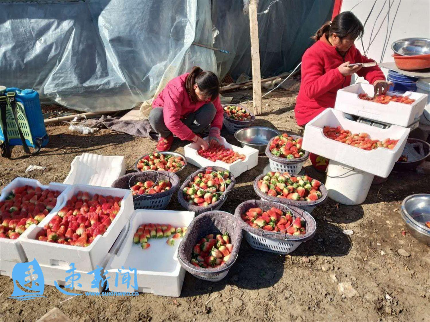 沭阳最新疫情现状与观点表达