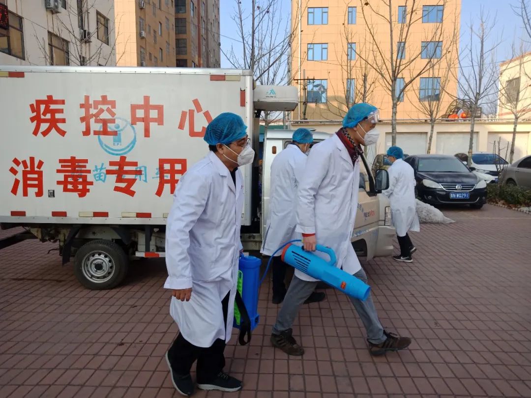 最新武城疫情全面解析,关注焦点与应对措施