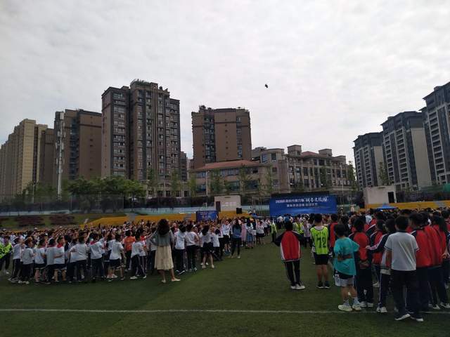 2024新澳门精准免费大全图片,行动规划执行_未来科技版12.958