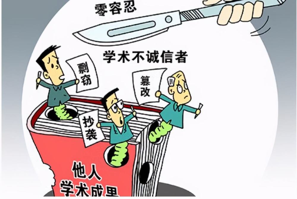 解读与应对,最新造假规定详解