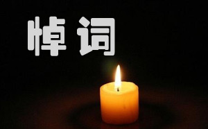 最新哀悼词,深情缅怀,致敬生命之光的光辉篇章