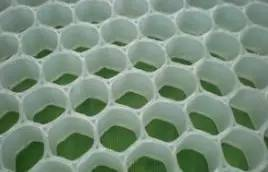 最新染色板,启程生活色彩的励志之旅