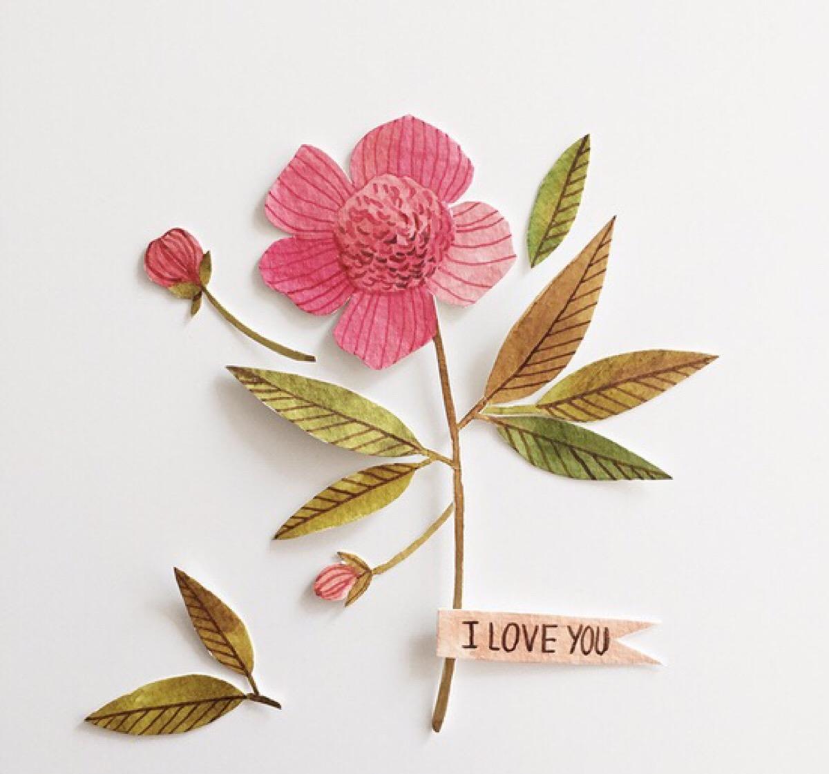 最新头像花,时代风尚的印记,展现个性风采