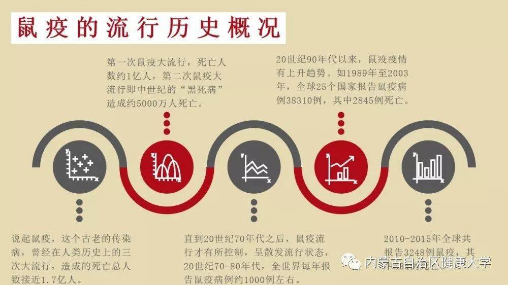 全面审视与观点阐述,鼠疫最新事态发展