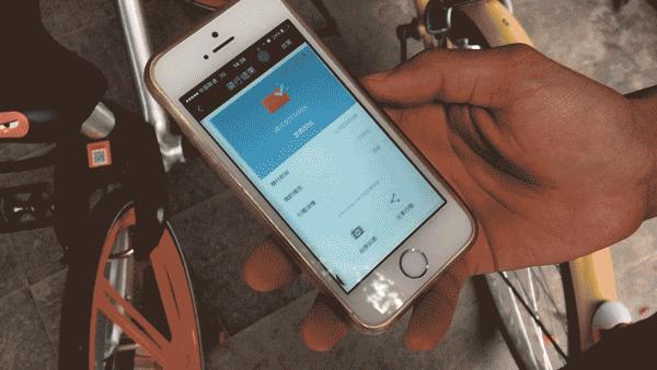 保定最新违章情况及城市自我超越的力量展现