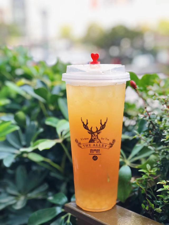 鹿角巷最新探索,小巷独特风味之旅