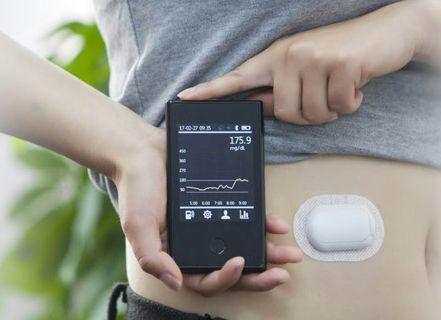 东宝生物最新动态,小东的奇妙日常与友情纽带之旅