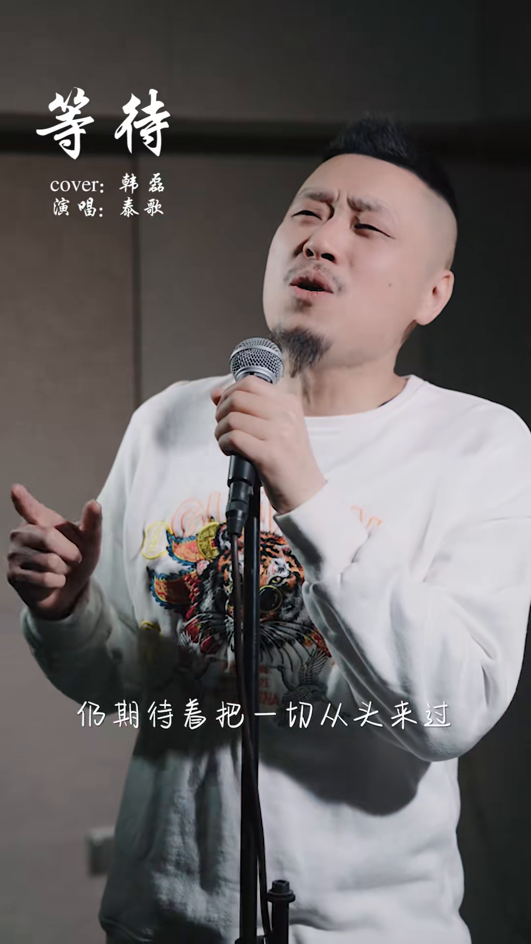 最新泰歌,音乐潮流的璀璨明珠闪耀登场!