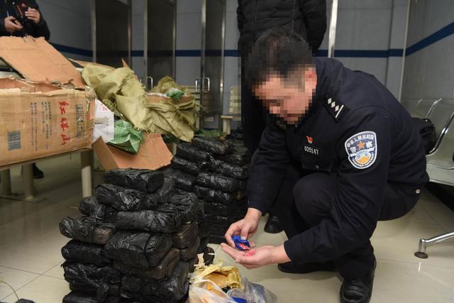 最新交货趋势,物流与供应链管理的新动态解读