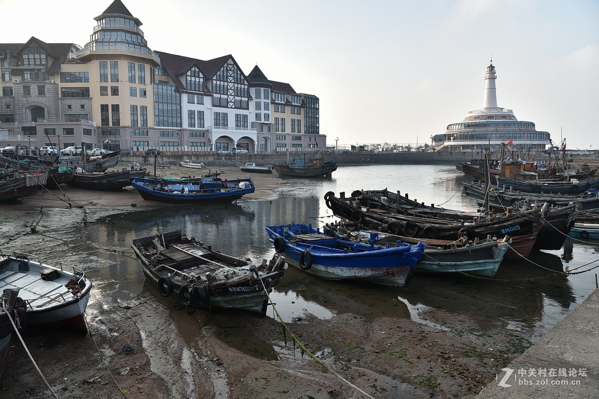 友情与爱的小船扬帆起航,最新小港湾探秘之旅