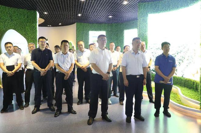 阳曲小巷中的独特魅力,最新动态与特色小店揭秘