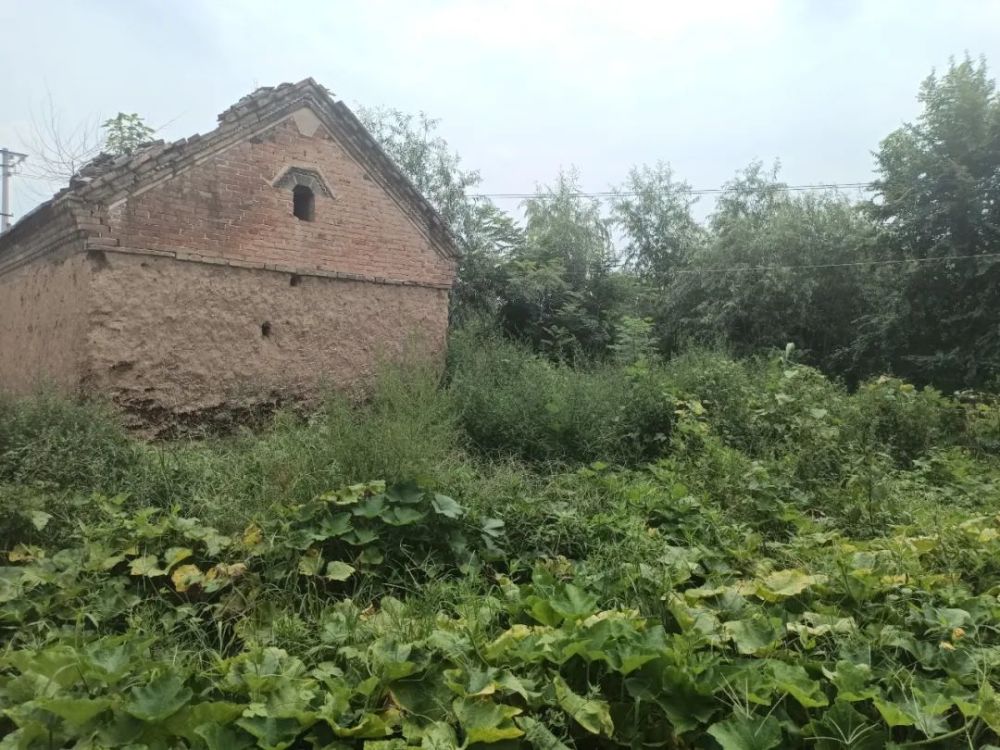 丰县赵庄最新发展动态,现状、展望与未来发展趋势