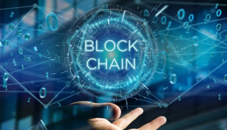 跟随自然的脚步开启心灵之旅,最新区块链发布消息引领时代潮流