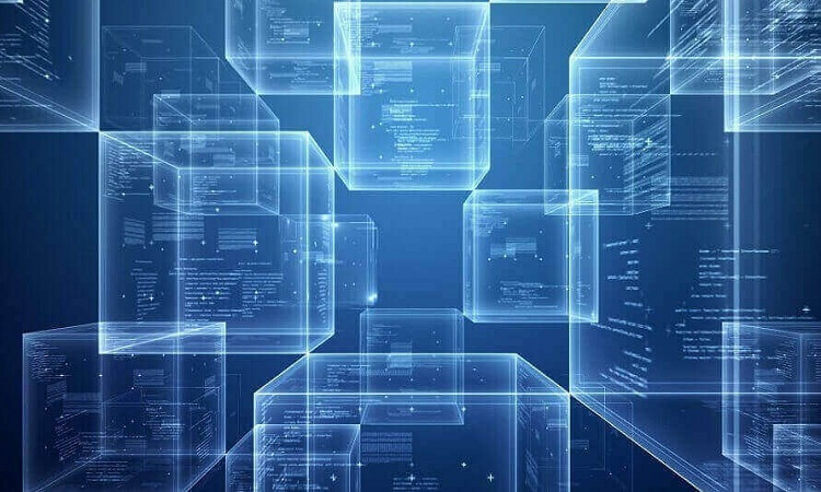 跟随自然的脚步开启心灵之旅,最新区块链发布消息引领时代潮流