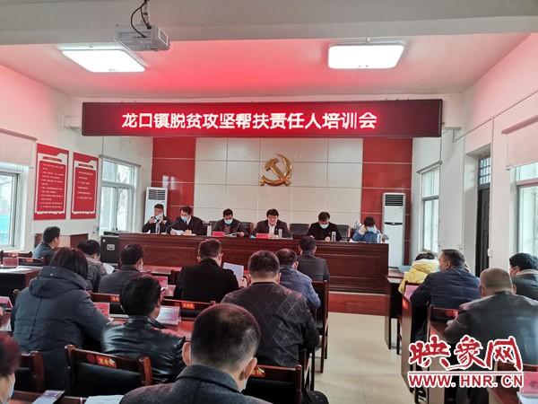 新蔡市的温馨日常,友情、趣事、家的温暖最新消息概述