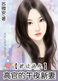 时代之声的激荡与回响,言安希最新章节综述