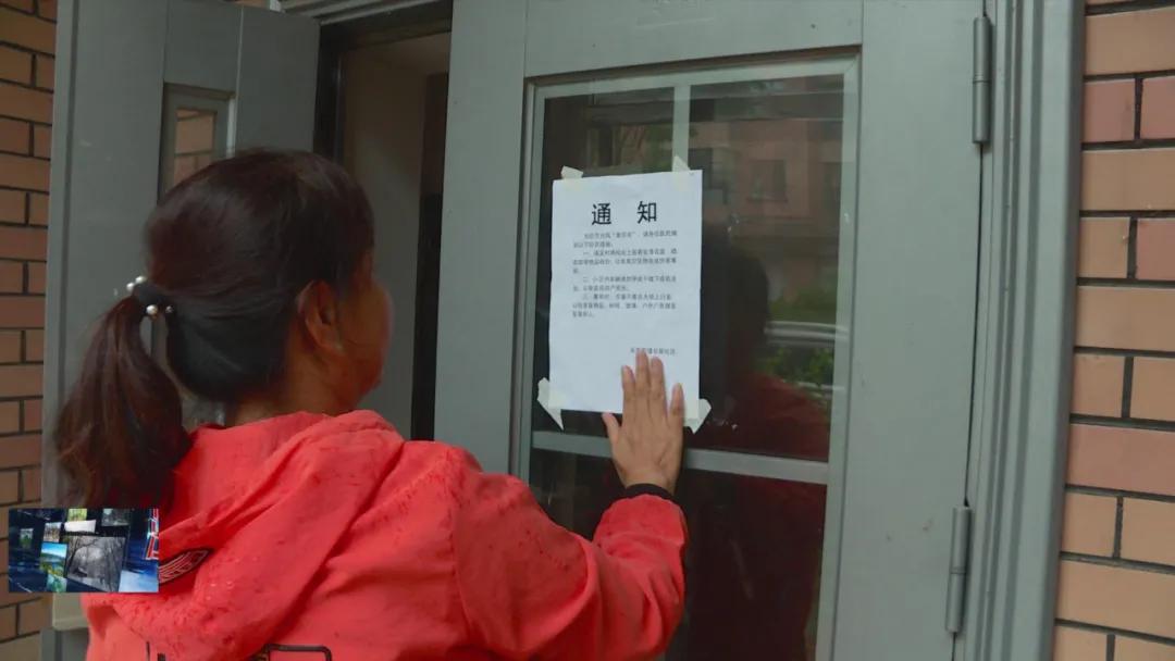 汪清台风最新动态,拥抱自然的旅行,探寻内心宁静与平和的旅程