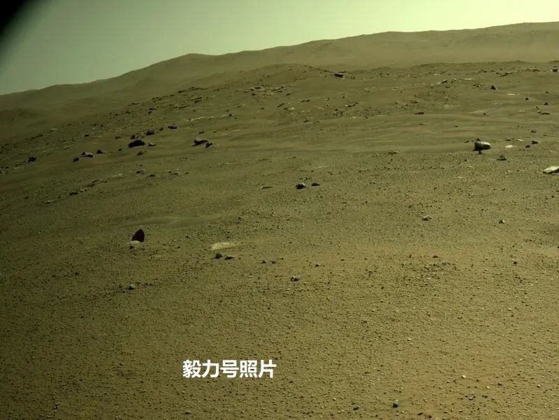 小巷深处的特色小店,最新照片分享