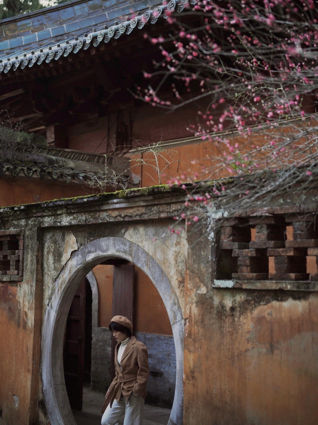 国清寺隋梅之旅,探寻内心平静的最新旅程