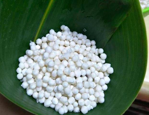 西米最新做法,烹饪自信与成就感的佳肴